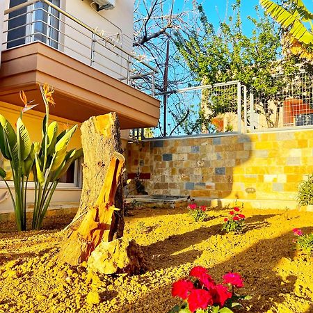 Glaros Beach Apartment カト・ダラトソ エクステリア 写真