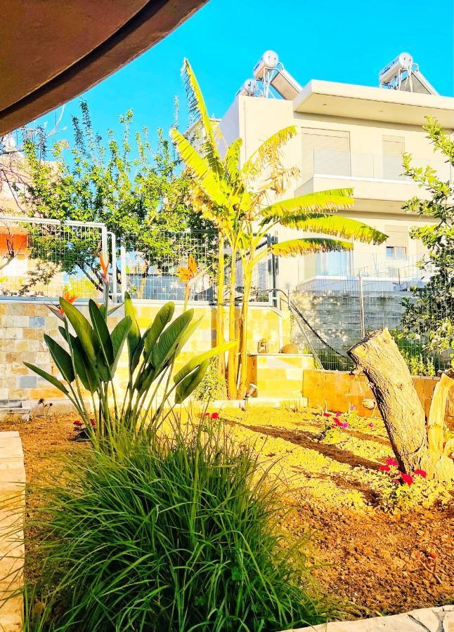 Glaros Beach Apartment カト・ダラトソ エクステリア 写真